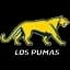 Argentina Rugby