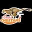 Cheetahs Rugby