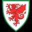 Wales U19
