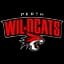 Perth Wildcats